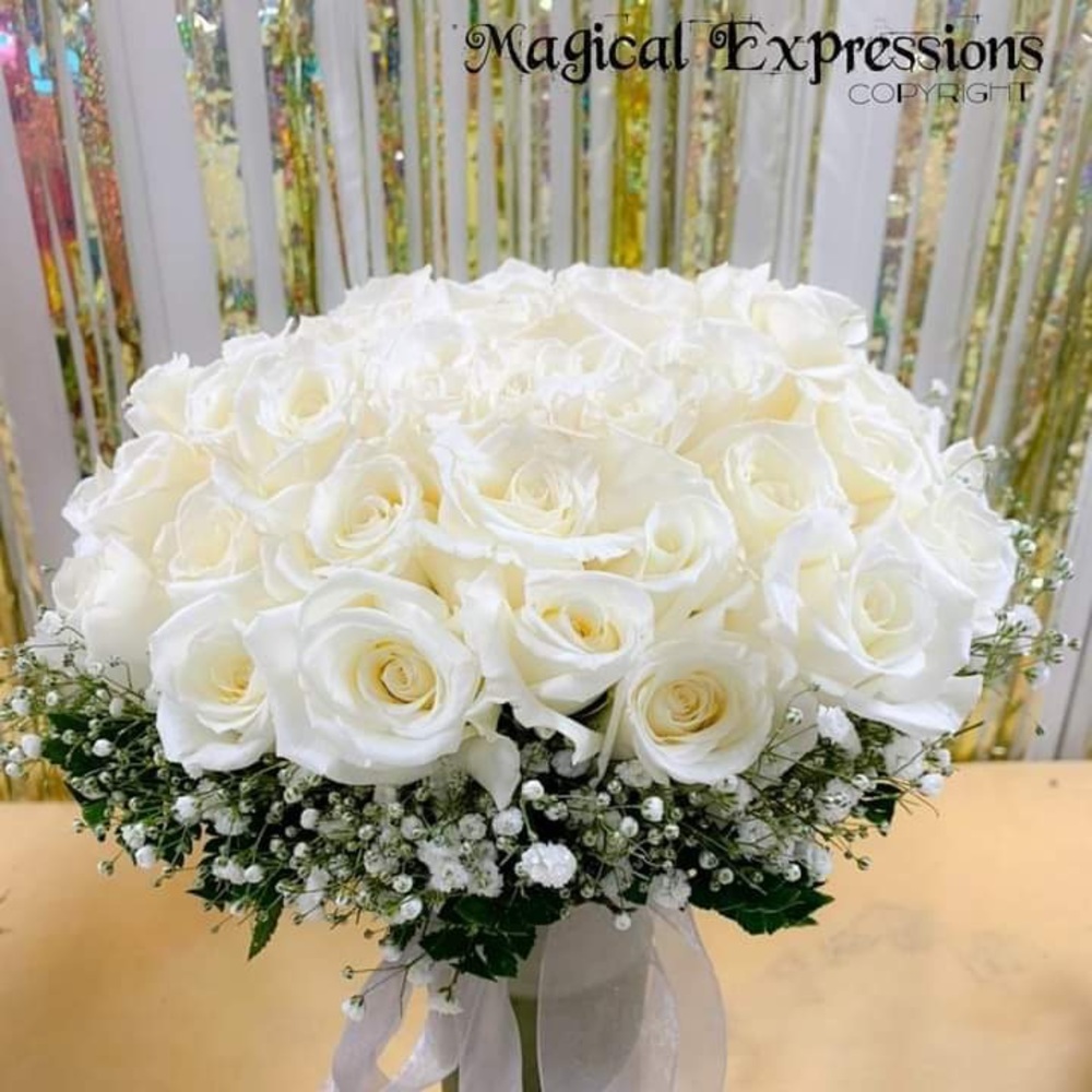 Meet your Posher, Johneeva